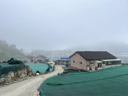 Notes From The Kelp Farm